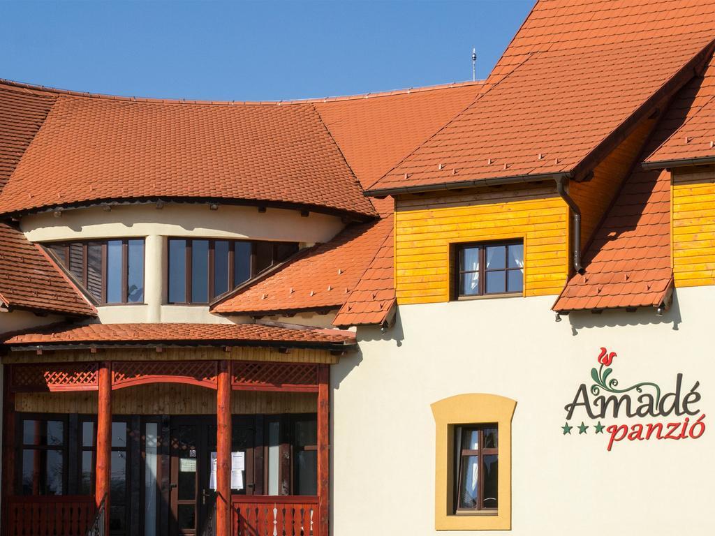 Amade Pension & Restaurant Hotel Siculeni Exterior photo